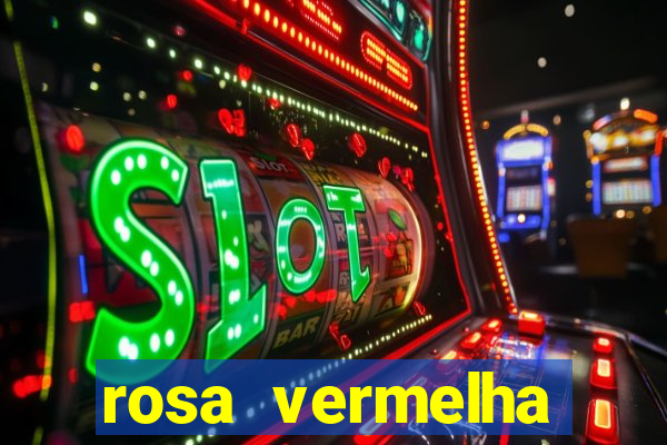 rosa vermelha (letra e cifra)